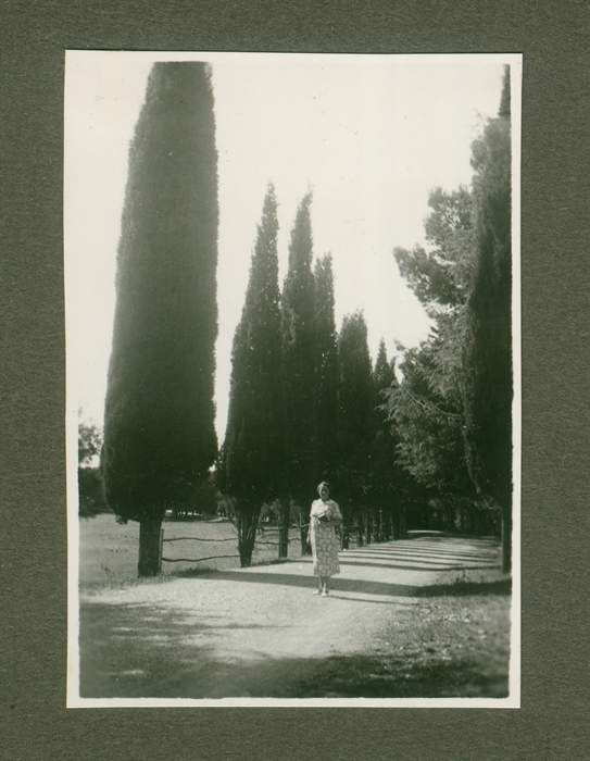 Image description